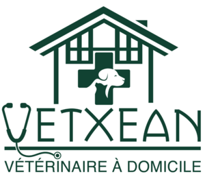 Vetxean vétérinaire à domicile Halsou, Professionnel indépendant