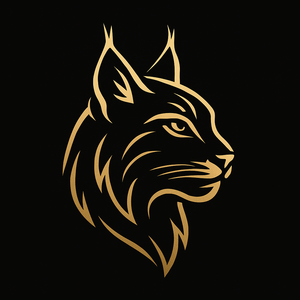 Marie Gaumy Tulle, Professionnel indépendant